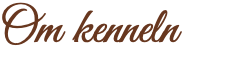 Om kenneln