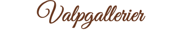 Valpgallerier